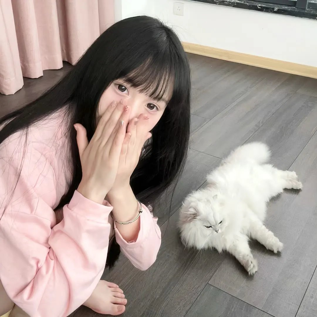 追杀51号